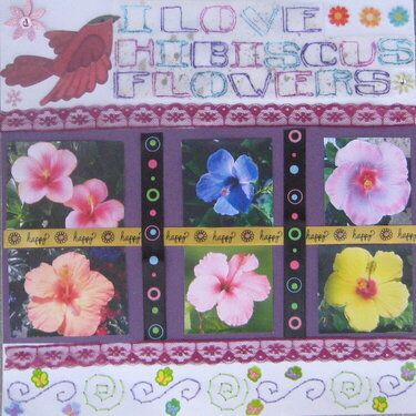 I Love Hibiscus Flowers