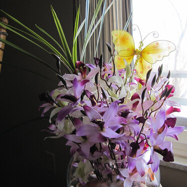 ORCHIDS IN A BOWL