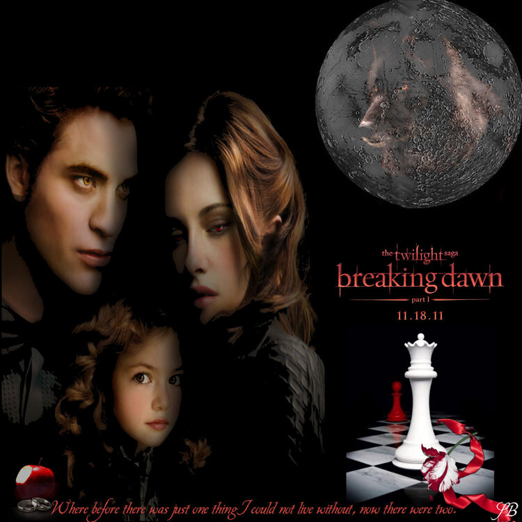 BREAKING DAWN PART 1