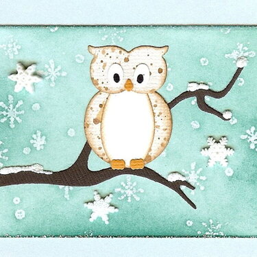 Snow Owl ATC