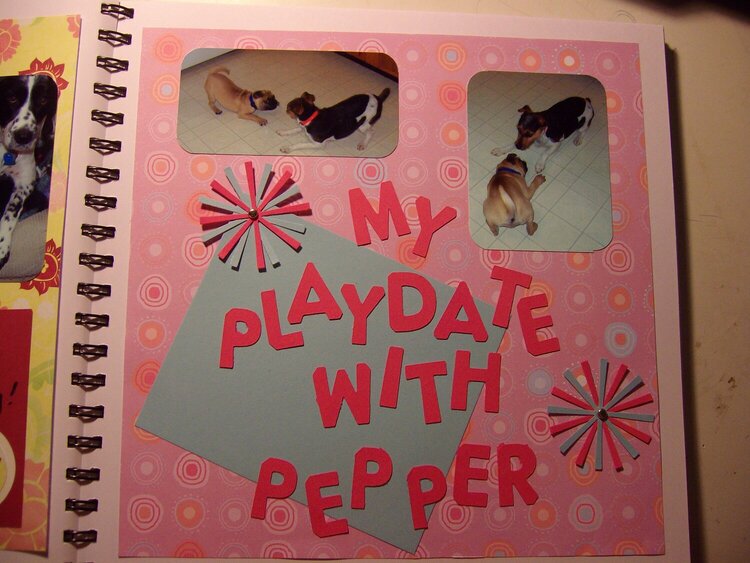 My Playdate With Pepper
