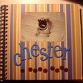 Chester: A Pugs Life
