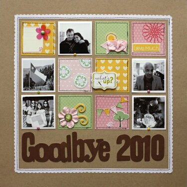 *Goodbye 2010*
