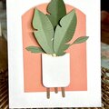 House plant all occasions card