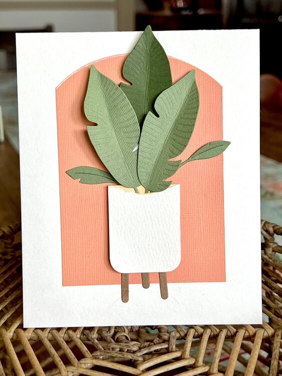 House plant all occasions card