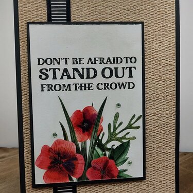 Don&#039;t be afraid to stand out from the crowd