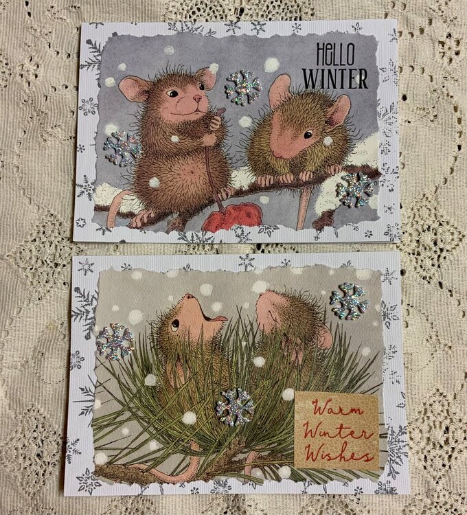 House Mouse Winter 2