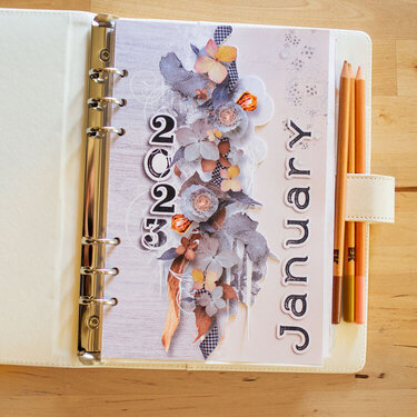 January Planner Cover