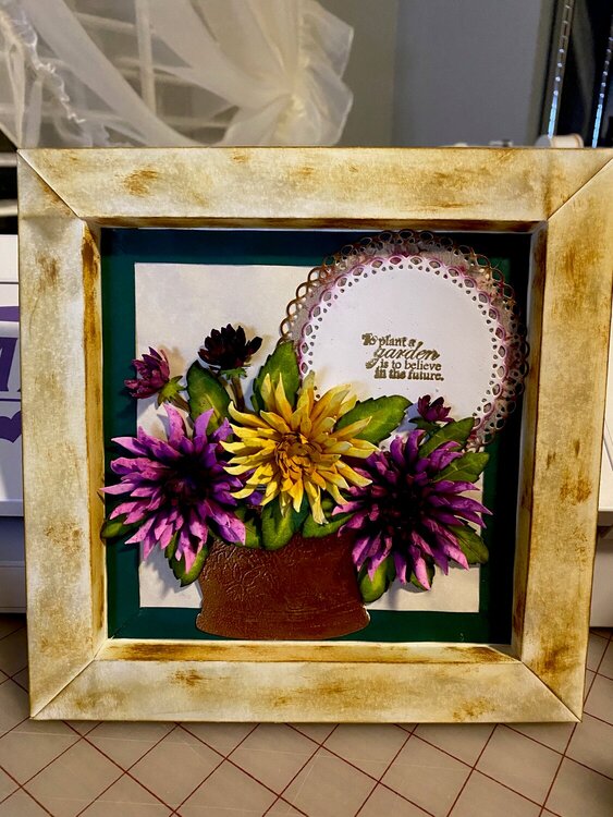 Cactus-Dahlia in a frame