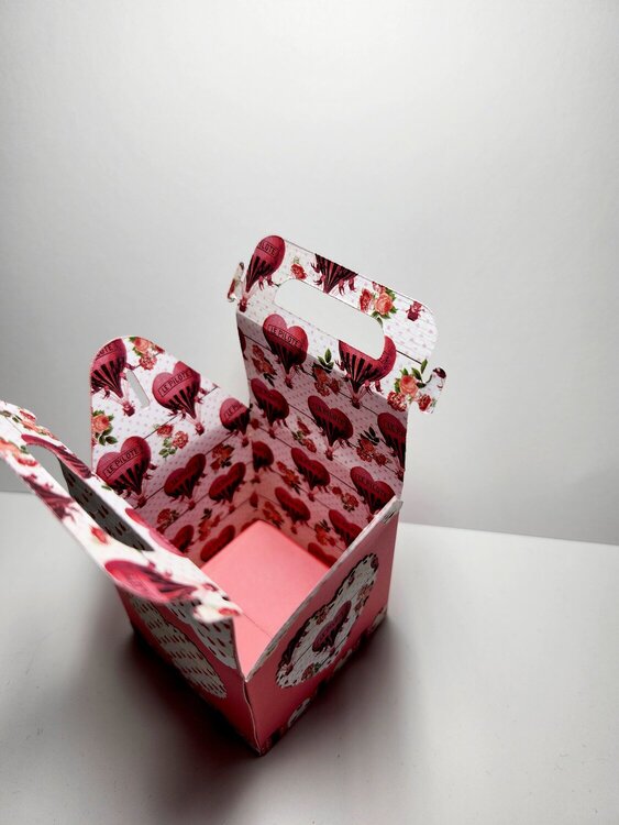 Dinosaur Valentine Box