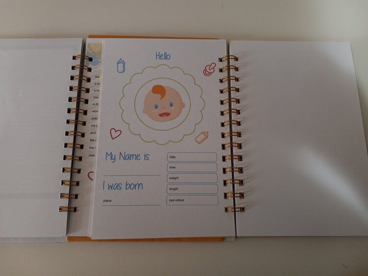 Baby Book for pregnancy and after