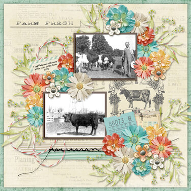 Farmhouse Chic-Kimeric  Template by Neverland Scraps