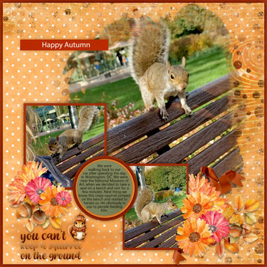 Nutty Squirrels-ScrapbookCrazy 