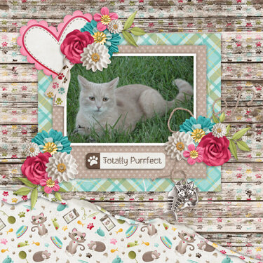 Pawsitively Purrfect-Kristmess Temp by Tinci https://store.gingerscraps.net/Pawsitively-Purrfect-Bundle.html
