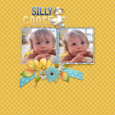 Silly Goose-ScrapbookCrazy Robyn https://store.gingerscraps.net/Silly-Goose-Mini-Kit-01-by-Scrapbookcrazy-Creations.html