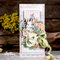 Cards in boxes with "Spring is here" line and Chippies by Dorota Kotowicz