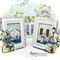 Set of cards with "Lavender farm" collection by Barbara Paterno