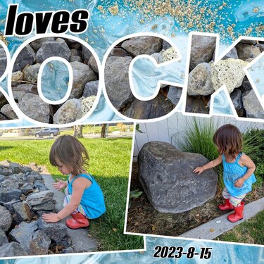 Birdie Loves Rocks