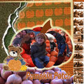 Pumpkin Patch 2007