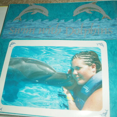 Swimming with Dolphins, Mexico