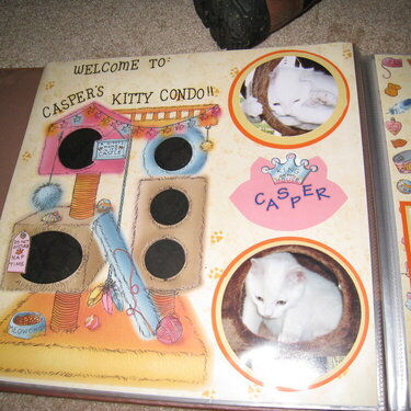 Welcome to Casper&#039;s Kitty Condo