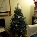 JAN2-POD- Christmas Tree