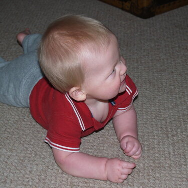 Look at me, I can crawl 2