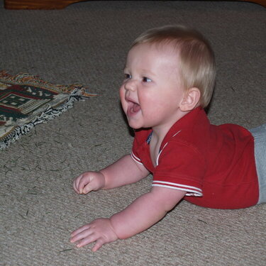 Look at me, I can crawl 3