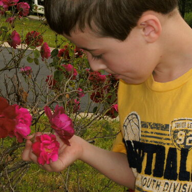 Taking to time to smell the roses