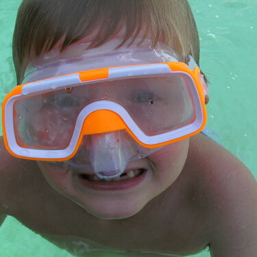 The cutest little diver..