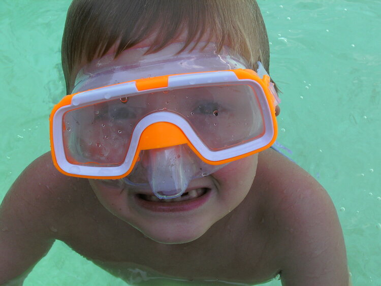 The cutest little diver..