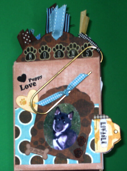 Moons Canvas Tag Book 2011 Cover