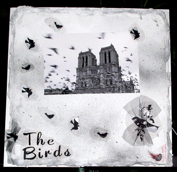 The Birds of Notre Dame