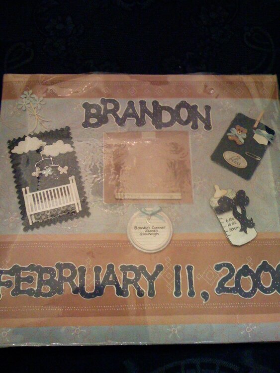 Brandon&#039;s baby album cover