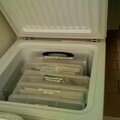 Scrapbook supplies stored in freezer