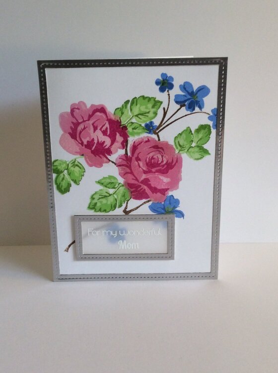 Vellum greeting and foil frame