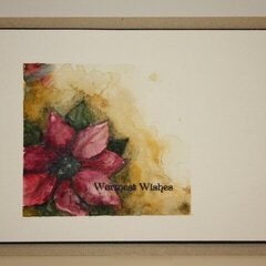 Watercolored Poinsettia