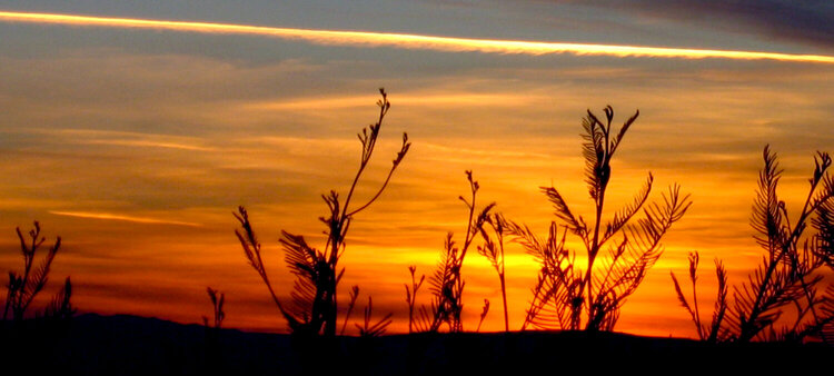 Sunset over the Bay