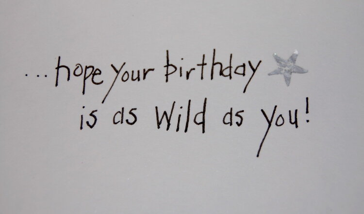 Wild birthday - inside