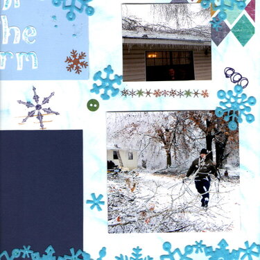 Page 1 Ice Storm clean up
