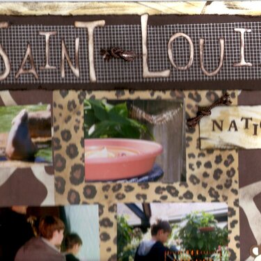 Saint Louis National zoo Left side top