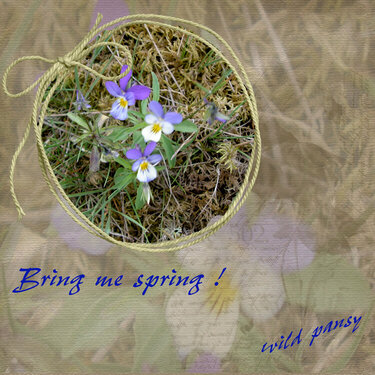 Bring me spring