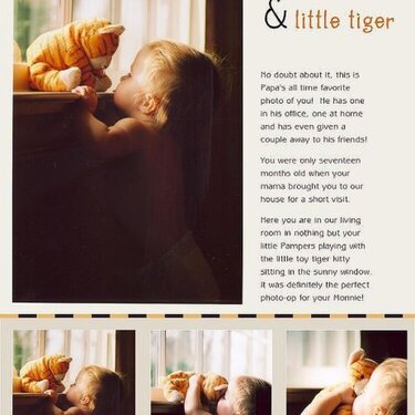 . . little tiger . . 
