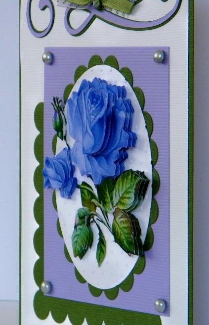 Blue rose side view