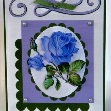 Blue Rose