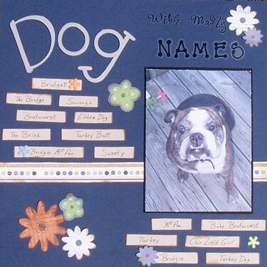 Dog with many names