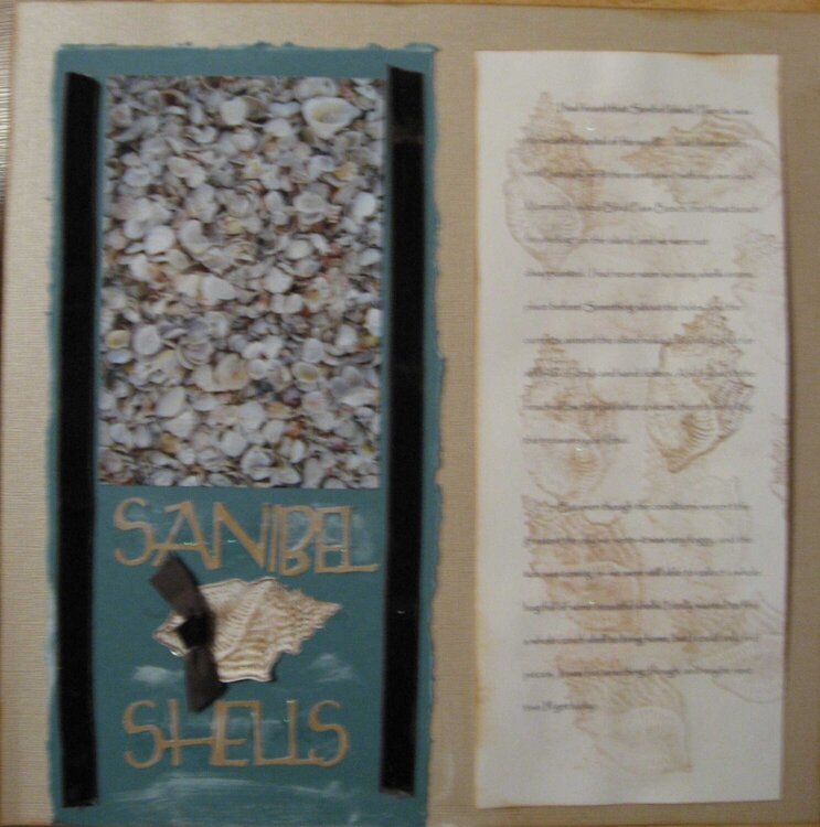 Sanibel Shells