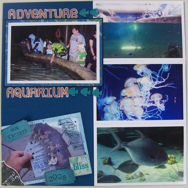 Adventure Aquarium (NSD Get Out Challenge )
