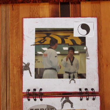 Tae Kwon Do Mini Album