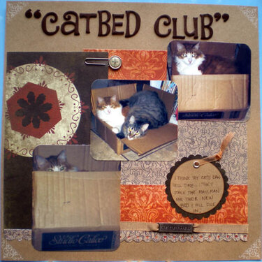 Catbed Club